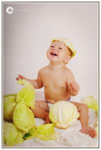 ������ ����������� ���� - ����������� 1