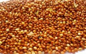 ������ ����������� ���� (���������) ��� ��������, ��������, ��������. - ����������� 1