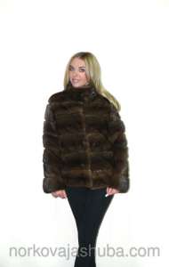 ������ ����������� �����, ������ ����� ������ ���� - ����������� 1