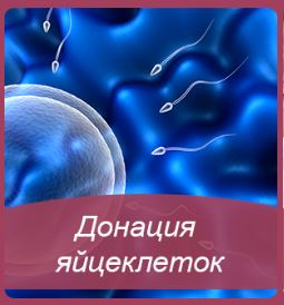 ������ ����������� ������ ������ ����� ���������� ����� - ����������� 1