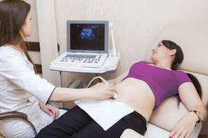 ������ ����������� �������, ����� �� 18 000 ����. - ����������� 1