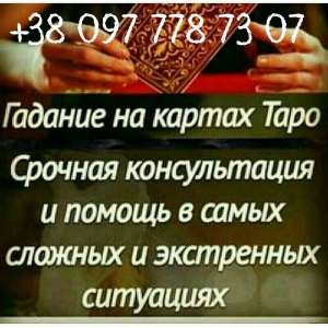 ������ �����������. ������� ������. - ����������� 1