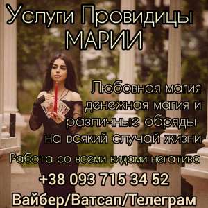 ������ �����������. �������. ������ ��������. - ����������� 1