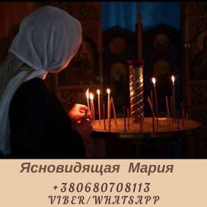 ������ �����������. ������� �������. ������ ��������. - ����������� 1