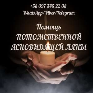 ������ �����������. �������. ���������. ������ ��������. - ����������� 1