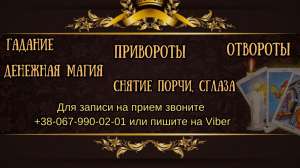 ������ �����������. �������, ���������, ������ ��������. - ����������� 1