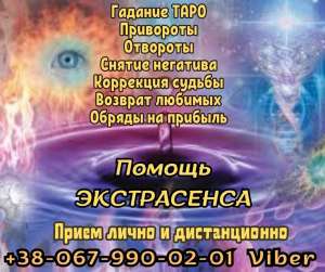 ������ �����������. ��������. ������ �����. - ����������� 1