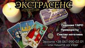 ������ �����������. ��������. �������. ������ �����. - ����������� 1