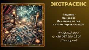 ������ �����������: �������� ��������, ������ �����, �������. - ����������� 1