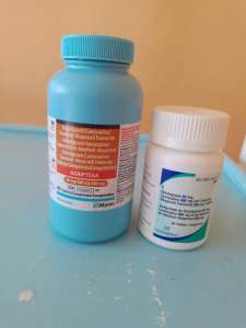 ������ ����������� (���������, dolytegravir) �� ������� ����� - ����������� 1