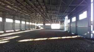 ������, ����������� ���������������� ��������� ��� ���� - ����������� 1