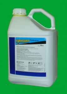 ������ ������������ ������ - ����������� 1