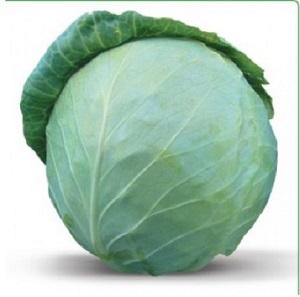 ������ ������������ ������� Honka F1 / ����� F1 ����� ������ - ����������� 1