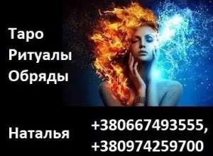 ������ ������������ �����������. ��� � �����. - ����������� 1