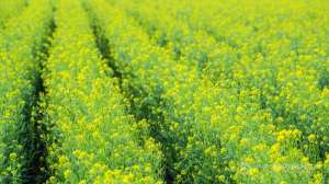 ������ �������������� ������� ����� � ������� �������� - ����������� 1