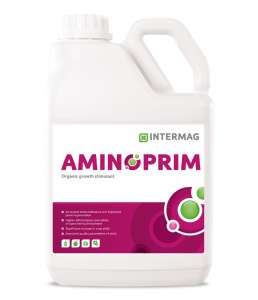 ������ �������������� �������� ��������� 20� ������ - ����������� 1