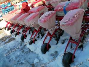 ������ ����������������� ����-8 8 ������. - ����������� 1