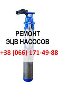 ������Ӫ�� ������ ������ ��� | ��� ������� | ����������� �������� ����� - ����������� 1