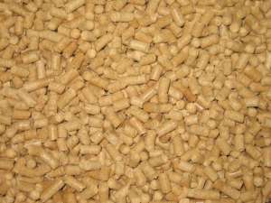 ������� 8�� - ����������� 1