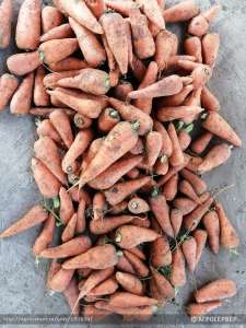 ������� - ����������� 1