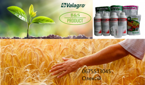 ������� Valagro - ����������� 1