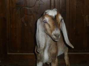 ������� � ������ �����-��������� ������ - ����������� 1