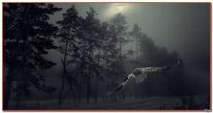 ������� �� ���� ������ (�������, ����������� �����). - ����������� 1