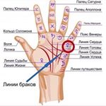 ������� �� ������ ����. ���������� ������. - ����������� 1