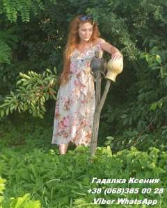 ������� �� ��������� ����. ���������� ������ ����. - ����������� 1