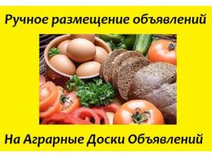 ������� �� ����-������. ���� ���������� ��� ����������� ���� - ����������� 1