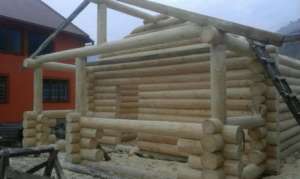 ������� ��� �� ����� 36,8� - ����������� 1