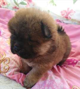 ������� ��� ��� ���� ����� ������� ����� - ����������� 1