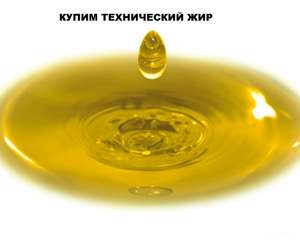 ������� ��� �����������. �������� ��� ���� ����������� �����. - ����������� 1