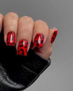 �������, ���� ���, ���������, �����������, ������ - ����������� 1