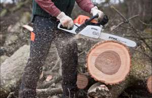 ������� ����, ���� ��������, ���������� ����, �������� ������. ������ - ����������� 1