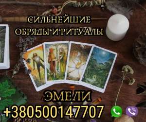 ������� ���� ������������. - ����������� 1