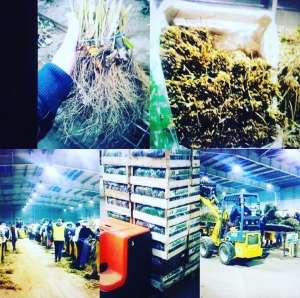 ������� ����� � �����i - ����������� 1