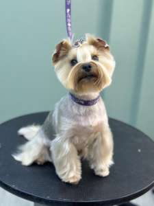 ������� ����� �� ����, ������, ����������� � ���ʼ�������� - ����������� 1