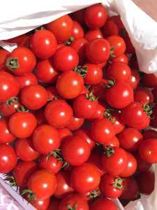 ������� ����� �����. ���� �����������. �������� �� �������������. - ����������� 1