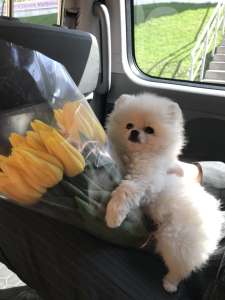 ������� ����� ������ ������������ ����� - ����������� 1