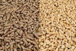 ������� ����� ������� �������� - ����������� 1