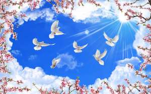 �������, �����p��� , ���������� ������, ������ ��������. - ����������� 1