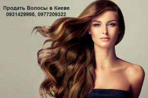 ������� ������ � �����. ������ ����� �� ���� �������. - ����������� 1