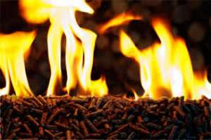 ������� ������ � �������� ��������� - ����������� 1