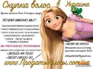 ������� ������ � ��������� ������ ����� ������ ��������� - ����������� 1