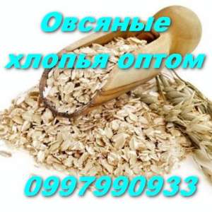 ������� ������ ����� - ����������� 1