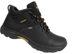 ������� ������ ������� ECCO - ����������� 1