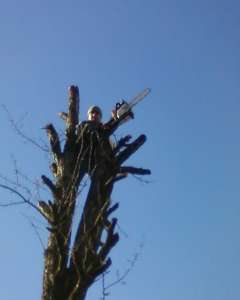 ������� ������ ������� �������� ���� ���� �������� ������� ����������� - ����������� 1