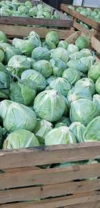 ������� ������ ��������. ҳ���� ���. - ����������� 1