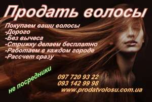 ������� ������ ��������, ����, �������, ����. - ����������� 1